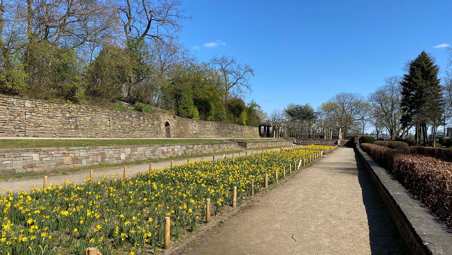 Umfangreiche Sanierung im historischen Friedenspark – K?lner Grün Stiftung