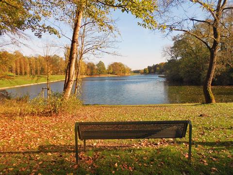 Aufwertung des Kalscheurer Weihers in Zollstock