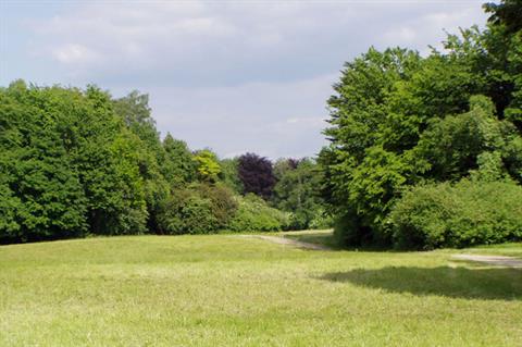 Wiederherstellung und Aufbesserung des Arboretums